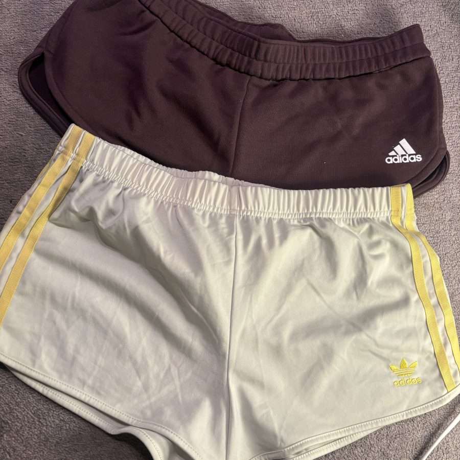 Shop All 163 Brown Adidas Micro Shorts (M/L)